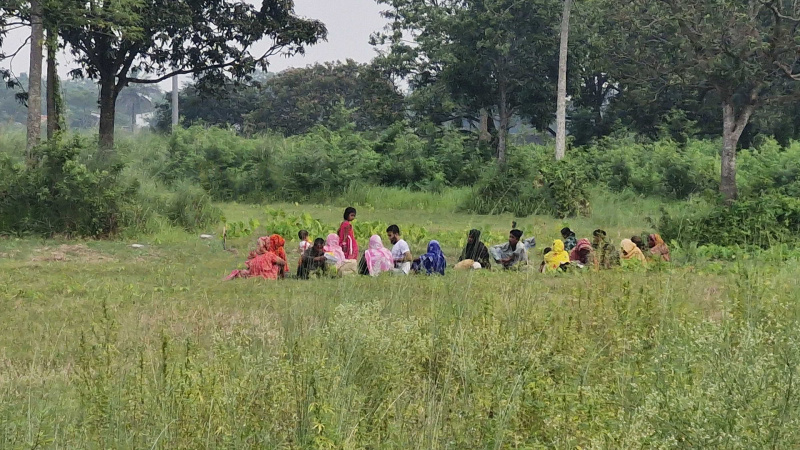 আবারও ২০ জনকে পুশইনের চেষ্টা, সীমান্তে লাঠি হাতে পাহারায় জনগণ