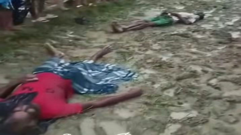 সাভারে বজ্রপাতে ক্ষেতের মালিকসহ ৩ কৃষকের মৃত্যু