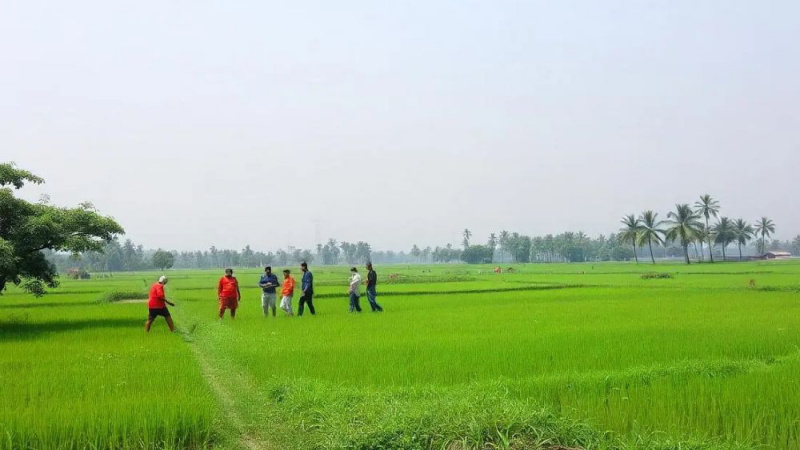 ভূমি অ্যাপে কতটুকু কমবে দুর্নীতি?