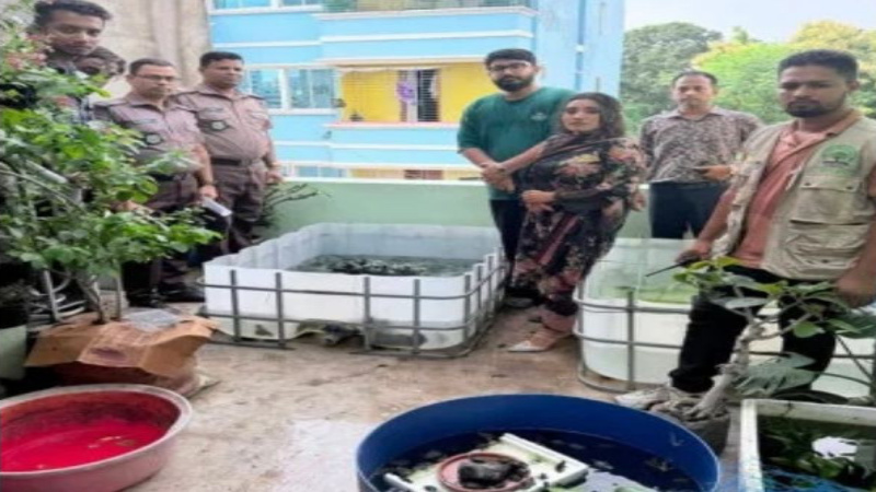 রাজধানী থেকে ১১০৪ বিদেশি বন্যপ্রাণী উদ্ধার, গ্রেপ্তার ১